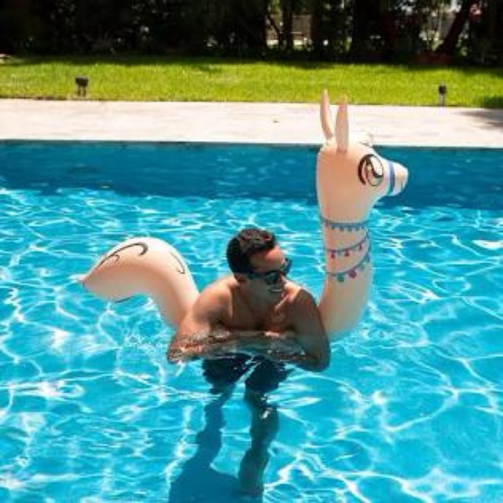 Inflatable Ride-On Pool Noodle Llama Animal - Picture 2 of 2